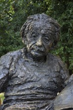 Statue of Albert Einstein, DC, Albert Einstein Memorial, Washington D.C., USA, North America