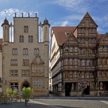 Historic market square with Tempelhaus and Wedekindhaus, Old Town, Hildesheim, Lower Saxony,