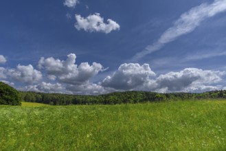 Flowering meadow with cumulus humilis clouds (Cumulus humilis), Bavaria, Germany, Europe