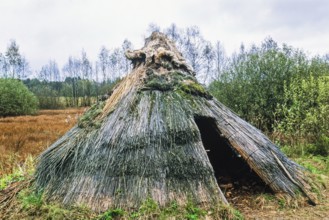 Reconstruction of a Stone Age hut made of reeds at a wetland, Sweden, Europe