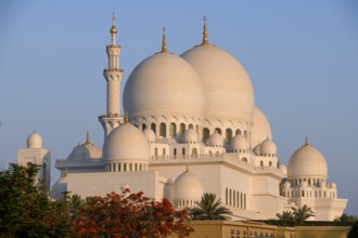 Sheikh Zayed Mosque, Domes, Abu Dhabi City, Emirate of Abu Dhabi, United Arab Emirates, Asia