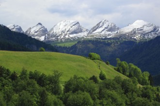 Churfirsten, view from Neu St. Johann, Toggenburg, St. Gallen, Switzerland, Europe