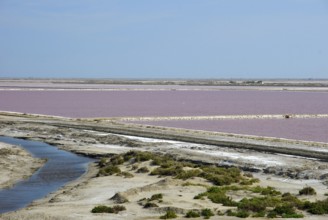 Salin de Giraud, seawater saltworks, saltworks, salt, seawater basins, salt extraction, salt