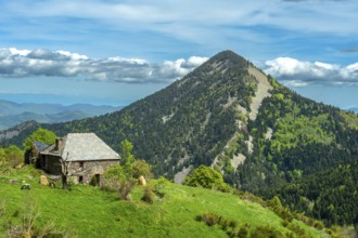 Scenic View of Dome-Shaped Volcanic Peaks (Sucs) in the Monts d'Ardeche Regional Natural Park.