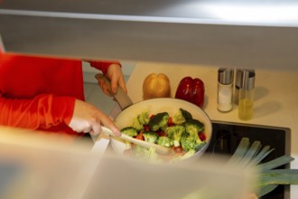 Vegan cooking: Close-up of a pan with broccoli, carrots and cocktail tomatoes