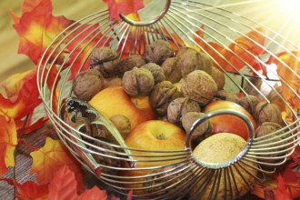 Apples, pears and walnuts on a rustic wooden table as an autumnal motif