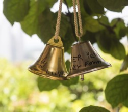 A pair of shiny decorative bronze bells