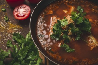 Kharcho soup, traditional Georgian dish, spicy soup, red, homemade, no people