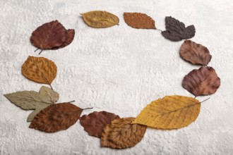 Wreath circle composition with yellow and brown autumn leaves, round frame mockup on gray concrete