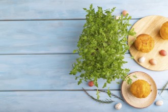 Homemade cakes with chocolate eggs and mizuna cabbage microgreen on a blue wooden background. top