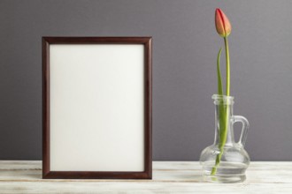 Wooden frame with red tulip flower in glass on gray pastel background. side view, copy space, still