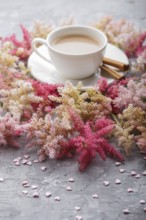 Pink and red astilbe flowers and a cup of coffee on a gray concrete background. Morninig, spring,