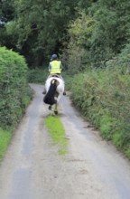 Woman riding a horse down quiet country lane, Eyke, Suffolk, England, UK