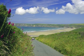 Narrow track leading down to a beach, Tenby, Pembrokeshire, Wales, United Kingdom, Europe