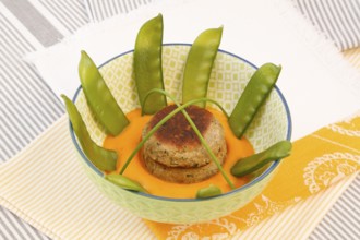 Vegetarian cuisine, walnut cakes on sugar snap peas with pumpkin sauce, sauce, vegetables, snow