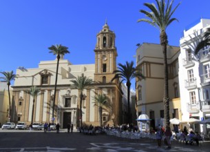 Cathedral square with Iglesia de Santiago church, Cadiz, Spain, Europe