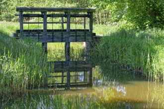 Lock on the Friedrichskanal and Dannefelder Moorgraben in the UNESCO Drömling Biosphere Reserve.