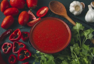 Tomato sauce, tomatoes and sweet pepper, Georgian Satsebeli sauce, with ingredients on a dark