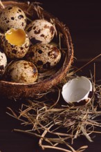 Fresh quail eggs, in a plate of coconut, on a wooden brown table, top view, vertical, no people