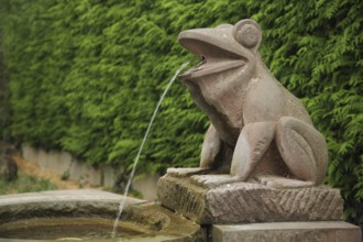 Frog fountain made of red stone 1992, frog figure, water jet, mouth, sitting, open, red,