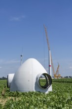 Repowering, dismantled Enercon E-58 wind turbine in a wind farm near Issum, 9 older wind turbines