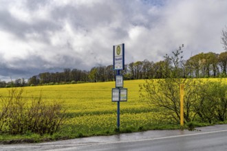 Bus stop, local transport in the countryside, near Breckerfeld, Neuenloh stop, on the L528,