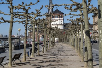 Empty Rhine embankment promenade, consequences of the contact ban, effects of the coronavirus