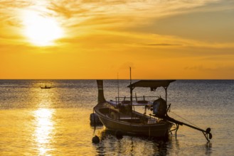 Longtail boat in the sunset, boat, sun, evening mood, cloudy sky, colourful, orange, wooden boat,