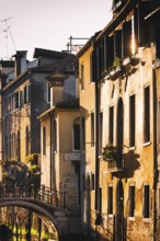 House facades of the old town in the afternoon sun, sunlight, light mood, house, old building, city