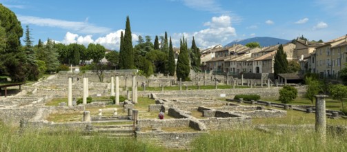 Vaison-la-Romaine. Archaeological site of La Villasse. Vaucluse. Provence-Alpes-Côte d'Azur. France