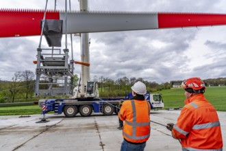 Preparation for the transport of a 68 metre long blade, a wind turbine, with a self-propelled