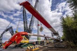 Erection of a wind turbine, wind energy plant, assembly of the ring generator, with a crawler