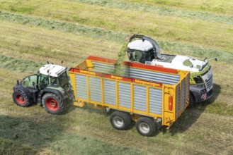 Hay harvest, on a Rhine meadow near Duisburg-Beeckerwerth, a forage harvester picks up the cut