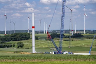 Wind farm near Brilon-Radlinghausen, new wind turbine being built, mobile crane, North