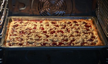 A plum tart with red plums and crumb topping is baking in the oven, ready for perfection