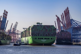 Container ship Ever Gifted, arriving at the port of Hamburg, Waltershofer Hafen, HHLA Container