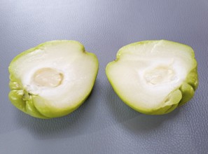 Two halves of a green chuchu with visible white flesh on a grey background, chayote, vegetable,