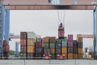 Altenwerder container terminal in Hamburg, 26/07/2024. /