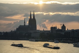 The Rhine near Cologne, sunset, Cologne Cathedral, cargo ship, North Rhine-Westphalia, Germany,