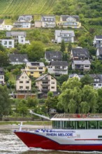 River cruise ship Rhein Melodie, on the Rhine in the Upper Middle Rhine Valley, backdrop of the