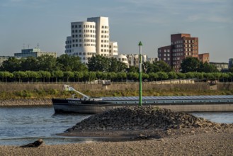 Rhine near Düsseldorf, extremely low water, Rhine level at 81 cm, falling, after a long drought the