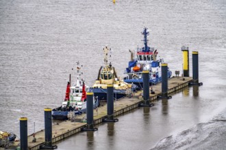 The tugboat pier, harbour tugs waiting for their next assignment, at the New Harbour, at the mouth