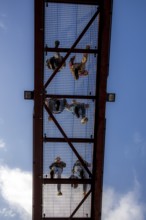 Lattice walkway, people walk over a walkway at a height of a good 15 metres, made of steel lattice,