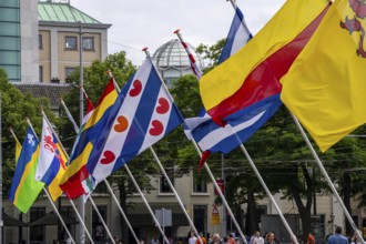 Flags, flags of the 12 different provinces of the Netherlands, at the historic Binnenhof, in the