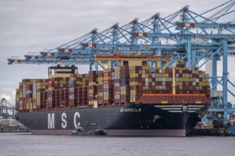 APM Container Terminal, MSC container freighter Mariella being loaded and unloaded, seaport of