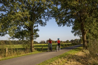 Cyclist, cycle tour in the Dingdener Heide nature reserve, heath and moorland landscape, north of