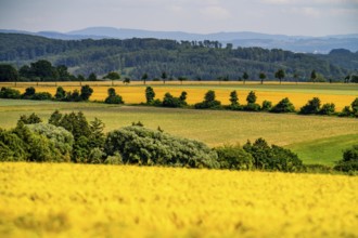 Landscape between Ostbüren, east of Unna, and the Ruhr valley near Fröndenberg, fields, forest and