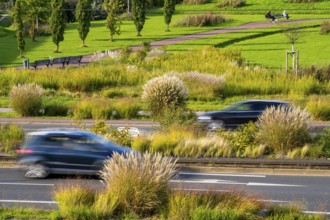 Greenery in the city centre, flower and plant beds, along Altendorfer Strasse, road traffic, in