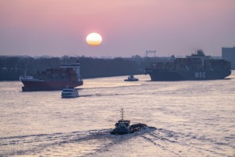 Evening shipping traffic on the Elbe, near Övelgönne, container freighter MSC Soraya arrives at