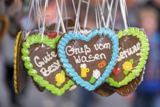 Gingerbread hearts decorated with colourful icing with the inscription 'Gruß vom Wasen',